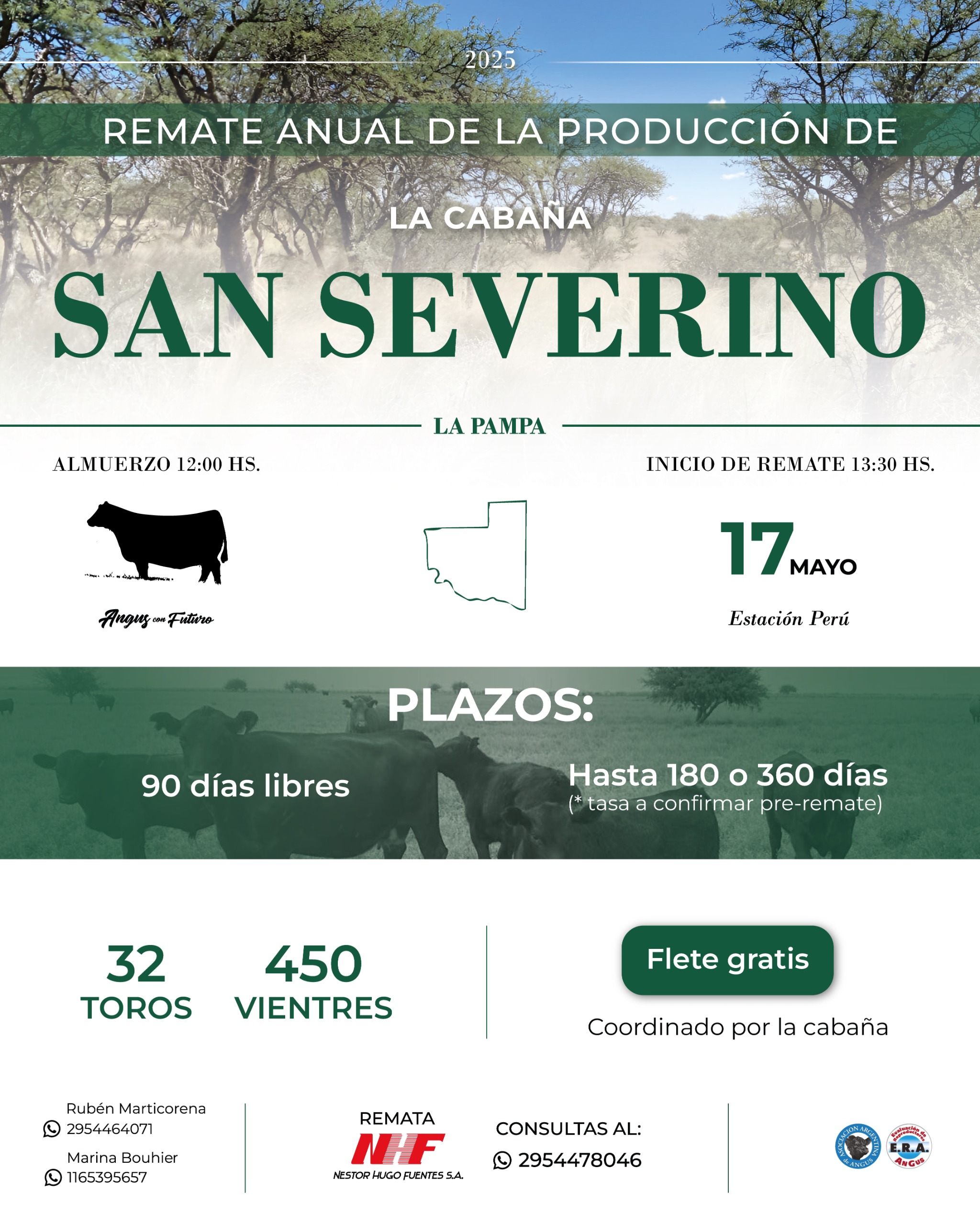 Imagen de San Severino